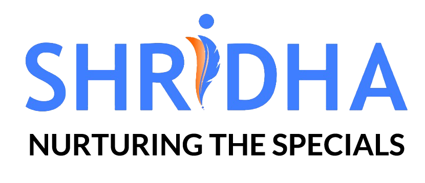 About Shridha School